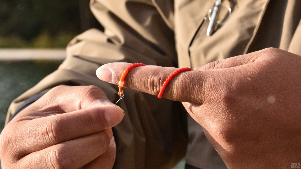 エリアトラウト】「お助け系」改め魔道系？初心者向けルアーのガチ勢的